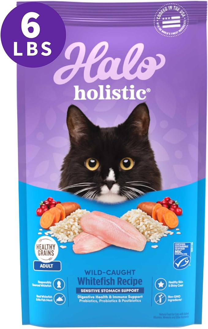 Halo Holistic Cat Food Wild Caught Salmon &amp; Whitefish Formula, Healthy Grains Dry Cat Food, For Sensitive Stomach Support, Kibble for Adult Cats, 6 lb Bag