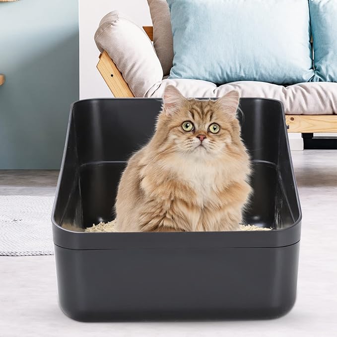 Sfozstra Open Top Litter Box: Black Medium Size with High Sides &amp; Anti Leak Design, Easy Clean Litter Pan for Home Cats