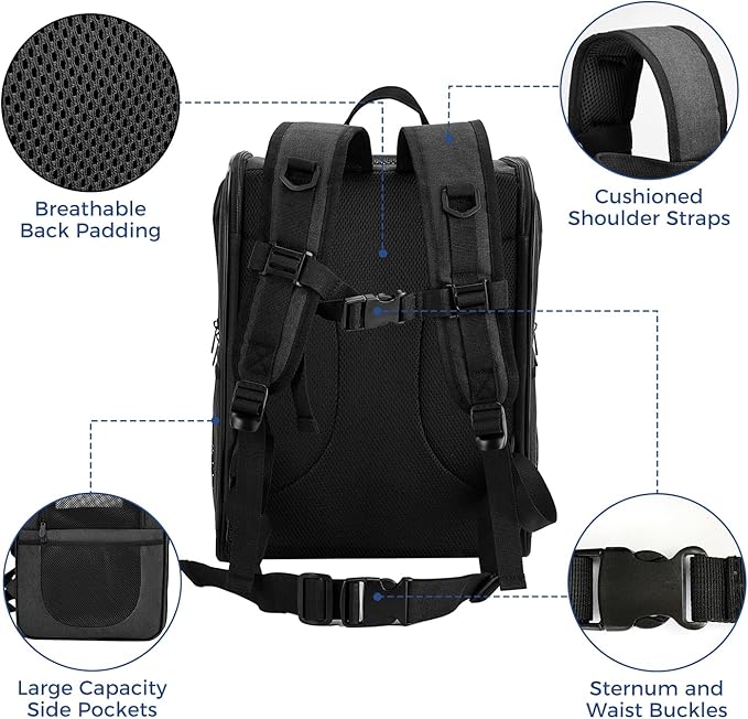 Apollo Walker Dog &amp; Cat Carrier Backpack for 4-15lb Pets - Ventilated Safe Design with Padded Back Support, Breathable Mesh Pet Backpack for Hiking, Travel, Outdoor (Black)