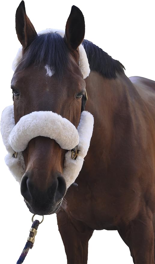 ECP Equine Comfort Products Merino Sheepskin Halter Fleece Set for Horses, 100% Natural Wool, Chafe Protection, Breathable Relief &amp; Cushioned Comfort, Machine Washable, 9-Piece Set, White