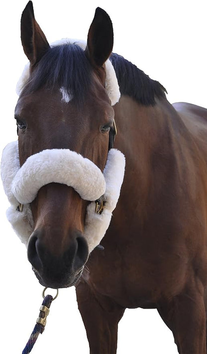 ECP Equine Comfort Products Merino Sheepskin Halter Fleece Set for Horses, 100% Natural Wool, Chafe Protection, Breathable Relief &amp; Cushioned Comfort, Machine Washable, 9-Piece Set, White