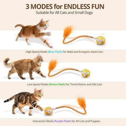Cat Toy Ball,Interactive Cat Toy Ball with 3 Modes for Indoor Cat,The 2025 Generation Self Moving Cats Toy,Rolling Cats Toy with Feather &amp; Bells for Bored Cats &amp; Small dogs,Touch to Activate (Orange)