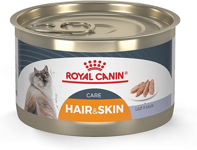 Royal Canin Feline Care Nutrition Hair &amp; Skin Care Loaf in Sauce Canned Cat Food, 5.1 oz can (24-count)
