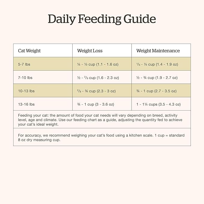 Now Fresh Grain-Free Dry Cat Food with Turkey, Salmon &amp; Duck, Healthy Kibble for Adults Made with Real Meat &amp; Fish, Chicken-Free, with Pumpkin &amp; Probiotics for Sensitive Stomachs, 8 lb Bag
