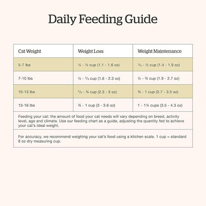 Now Fresh Grain-Free Dry Cat Food with Turkey, Salmon &amp; Duck, Healthy Kibble for Adults Made with Real Meat &amp; Fish, Chicken-Free, with Pumpkin &amp; Probiotics for Sensitive Stomachs, 16 lb Bag