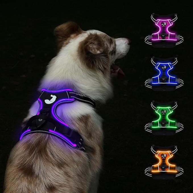 Taglory Light Up Dog Harness, Rechargeable No Pull Dog Vest with 3 Lightning Modes, Reflective Dog Harness with 2 Leash Clips &amp; 4 Adjustable Slide Strips for Medium Dogs, Black-Purple, M