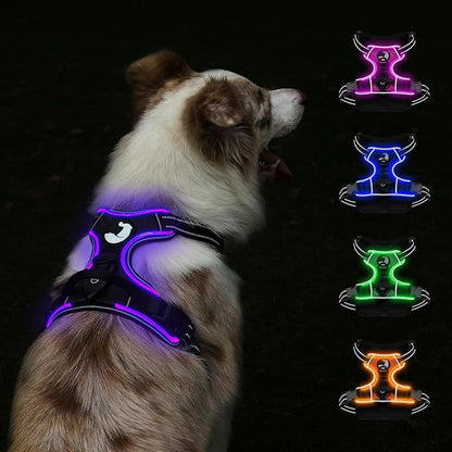 Taglory Light Up Dog Harness, Rechargeable No Pull Dog Vest with 3 Lightning Modes, Reflective Dog Harness with 2 Leash Clips &amp; 4 Adjustable Slide Strips for Medium Dogs, Black-Purple, M