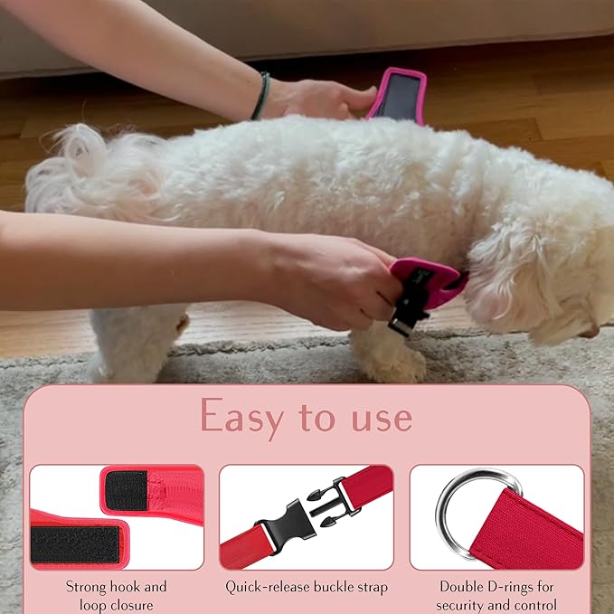 Comfort fit Step-in Dog &amp; Puppy Harness - Comfortable All Weather Dog Vest Harness: Adjustable, Soft Padded, Easy to Put-on for Small, Medium-Sized Dogs.