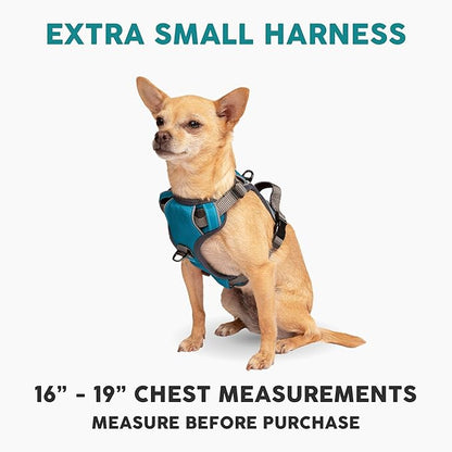 Embark Adventure Dog Harness, No-Pull Reflective Trim Dog Harness for Small, Medium &amp; Large Dogs - Military Grade Nylon, 2 Leash Clips &amp; Gel Lined Handle. Soft &amp; Padded Puppy Dog Vest for Any Breed