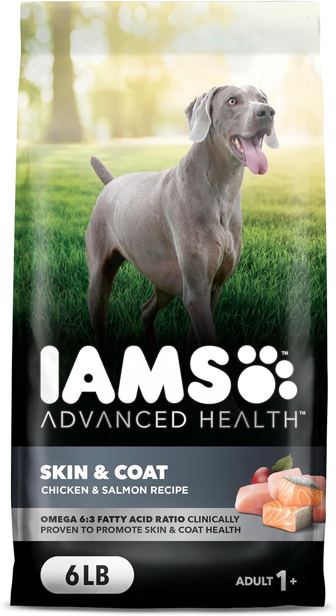 IAMS Advanced Health Skin &amp; Coat Adult Dry Dog Food Chicken and Salmon Recipe, 6 lb. Bag