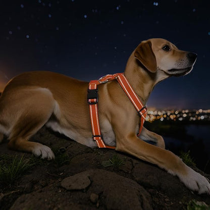 Dog Seat Belt Harness for Car, Dog Car Harness Adjustable Mesh Breathable &amp; Dogs Seatbelt Safety Tether with Elastic Bungee for Small Medium Large Pets(Orange, L)