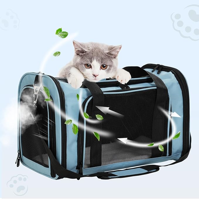 Roaringkitty Travel in Style: Portable Pet Carrier for Small Pets up to 15 Lbs- Airline Approved, Collapsible &amp; Comfortable cat/Puppy Soft Sided Bag (Blue)