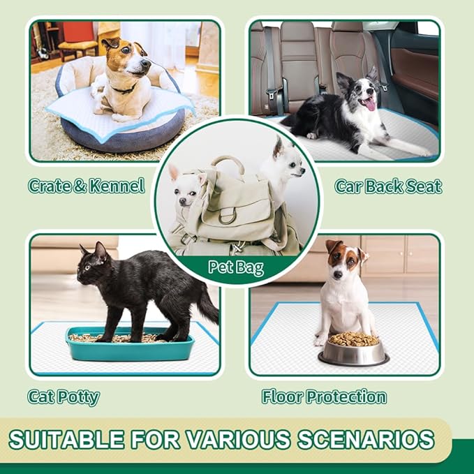 IMMCUTE Puppy Pads 22"x23" 100 Count | 6-Layer Leak-Proof &amp; Super Absorbent Dog Training Pads | Disposable Potty Pads for Puppies, Dogs, Cats &amp; Rabbits | Blue &amp; White