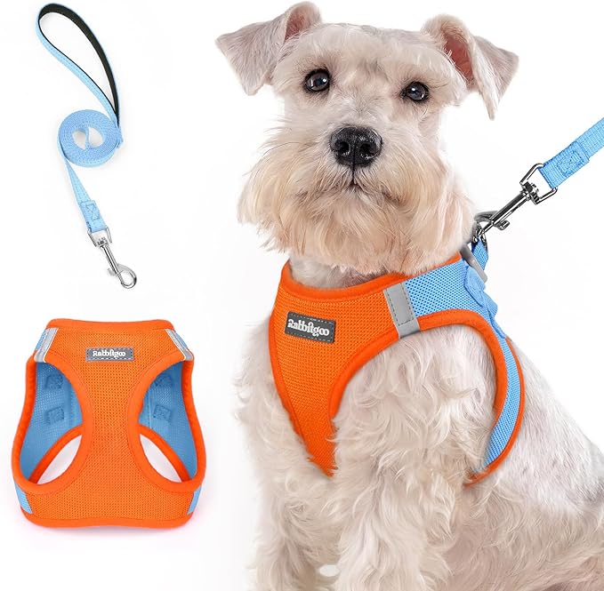 rabbitgoo Dog Harness Medium Sized and Leash Set, Step in Soft Light Puppy Vest, Breathable Mesh Pet Harness, Reflective for Safe Easy Walking, Blue &amp; Orange XXL