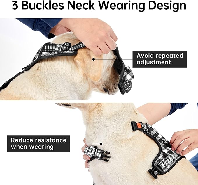 IVY&amp;LANE No Pull Dog Harness with Leash Set, Reflective No Choke Pet Vest,Adjustable Oxford Dog Vest Harness with Easy Control Handle for Medium Lagre Dogs (Checkered Black,M)