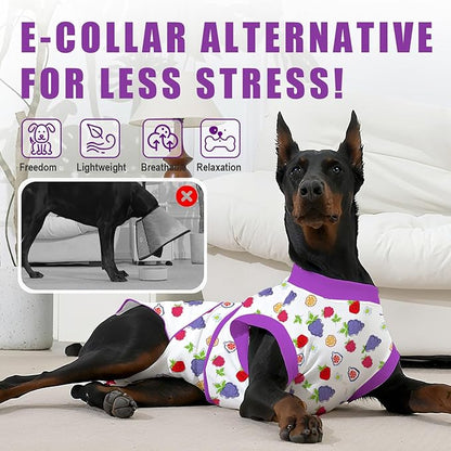 Recovery Suit for Dogs After Surgery, Professional Dog Surgical Suit for Female Spay, Male Neuter, E-Collar &amp; Cone Alternative Dog Onesie for Abdominal Wounds Skin Disease, Purple, XXL