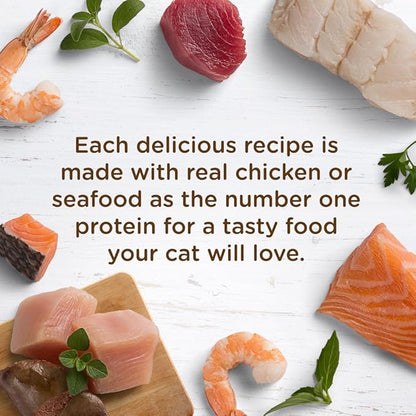 Rachael Ray Nutrish Natural Wet Cat Food, Ocean Fish-A-Licious Recipe, 2.8 Ounce Cup (Pack of 12), Grain Free (6303330281)