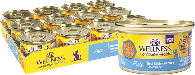 Wellness Complete Health Pate Adult Wet Cat Food, Natural, Protein-Rich, Grain Free, 3 Ounce, 24 Pack, (Beef &amp; Salmon)