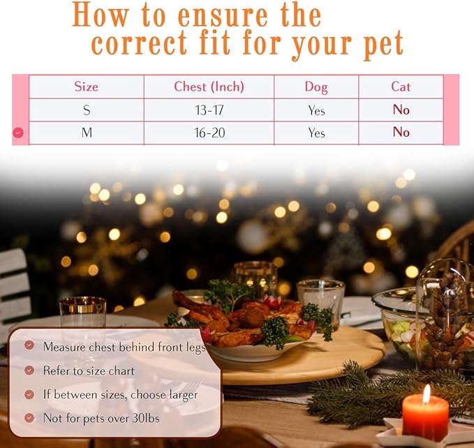 Comfort Fit Dog Harness No Pull with Adjustable Buckles Soft Padded Reflective Choke Step-in Pet Vest with Easy Control Handle for Small Medium Large Dogs &amp; Puppies for Walking Running Training