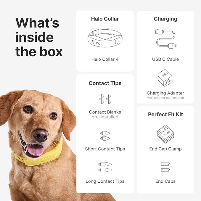 Halo Collar 4, All New GPS Wireless Dog Fence &amp; Dog Training Collar with GPS Tracker, Subscription Required, Waterproof, One Size, Sunburst