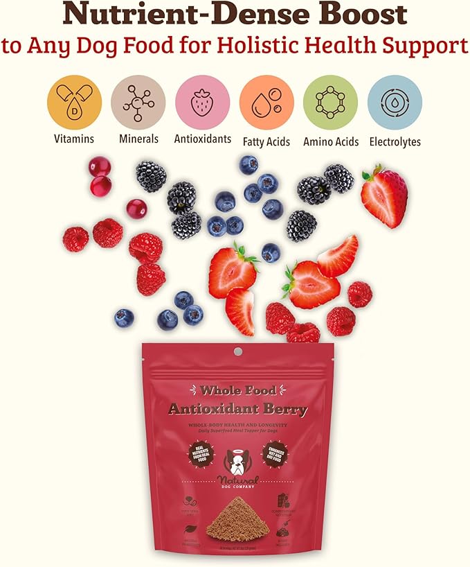 Natural Dog Company Dog Food Topper, Antioxidant Berry Vitamins &amp; Superfood Meal Topper Supplement, Holistic Nutrition, Dog Food Seasoning, Immune Support, All Breeds, Ages, &amp; Sizes of Dogs, 8oz Bag
