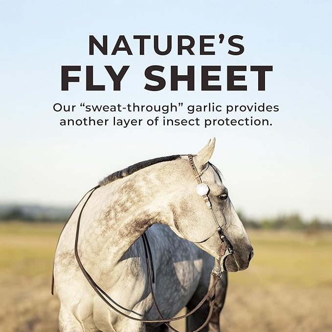 Redmond Daily Red Crushed Garlic | Horse Minerals &amp; Vitamins Supplement | Garlic for Horses