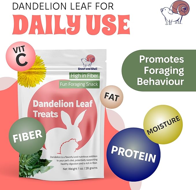 Snout and Shell Dandelion Leaf Treat for Small Pets – 1 oz (28g) | High-Fiber, Natural Foraging Snack for Rabbits, Guinea Pigs, Chinchillas, Squirrels &amp; More