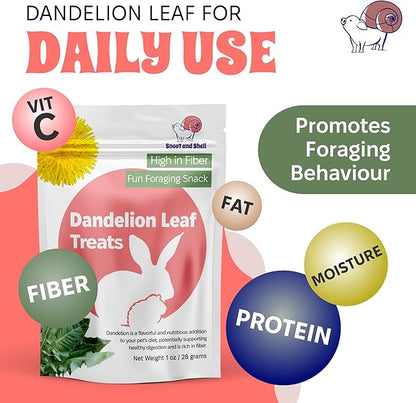 Snout and Shell Dandelion Leaf Treat for Small Pets – 1 oz (28g) | High-Fiber, Natural Foraging Snack for Rabbits, Guinea Pigs, Chinchillas, Squirrels &amp; More