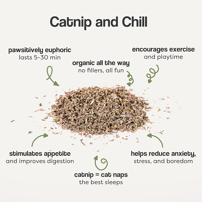 Organic Catnip for Cats &amp; Kittens – 1.76 oz Premium Natural Catnip, High Potency Blend for Playtime, Training, and Stress Relief, 2 Cups of Dried Cat Nip Leaves