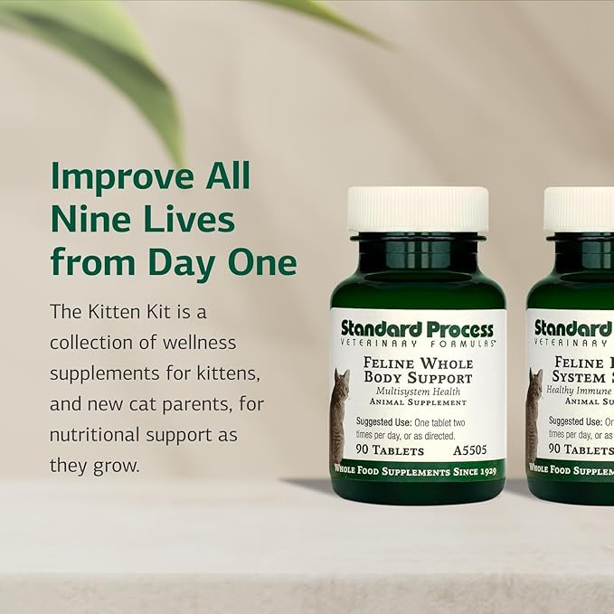 Standard Process Kitten Kit - Overall Health Kit for Feline Whole-Body Support - Feline Immune System Support Supplements - Wellness Supplements to Support Kitten Health &amp; Growth - Includes Catnip Toy