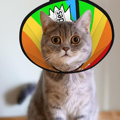 Custom Pet Cone Collar Lick Prevention Pet Recovery Collar for Neuter Safety Elizabethan Collar