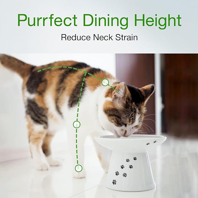 Necoichi Extra Wide Raised Cat Food Bowl, Elevated, Prevent Neck &amp; Whisker Fatigue, Dishwasher and Microwave Safe, No.1 Seller in Japan! (Cat, Extra Wide)