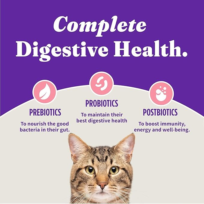 Halo Holistic Cat Food Wild Caught Salmon &amp; Whitefish Formula, Healthy Grains Dry Cat Food, Complete Digestive Health, Kibble for Adult Cats, 3 lb Bag