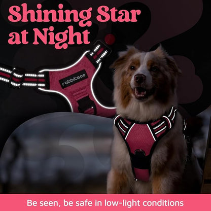 rabbitgoo Dog Harness Small Sized, No Pull Dog Vest with 3 Buckles, Adjustable Soft Padded Pet Harness with Easy Control Handle and Reflective Strips, Pink, S