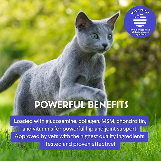 Premium Liquid Glucosamine for Cats – with Collagen, Glucosamine, Chondroitin, MSM, Taurine &amp; Hyaluronic Acid – Cat Joint Support, Mobility &amp; Flexibility - Hip &amp; Joint Cat Supplement – 2oz
