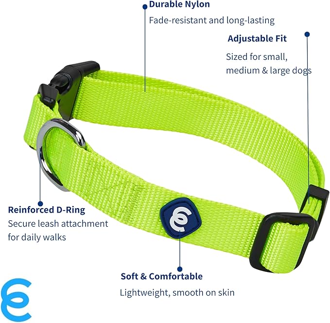 Blueberry Pet Essentials Matching Adjustable &amp; Durable Classic Solid Color Nylon Dog Collars for Medium Dogs | Highlighter Yellow Collar Medium Girl and Boy Dogs for Pet Owner