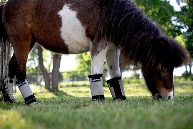 Warrior Fly Boots for Horses - Breathable Mesh Horse Boots for Fly Protection &amp; Leg Comfort - Set of 4 (Lil Warrior, Gray)