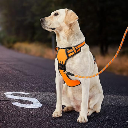 IVY&amp;LANE No Pull Dog Harness for Large Dogs, Dog Vest Harness with Leash, Safety Belt and Storage Strap, Fully Adjustable Harness, 360° Reflective Strip, Soft Handle (Orange, L)
