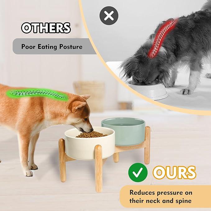 Wordcam Elevated Ceramic Dog Bowls,Raised Dog Dish with Stand,Pet Food and Water Feeding Bowls for Small Medium Dogs(6.5&