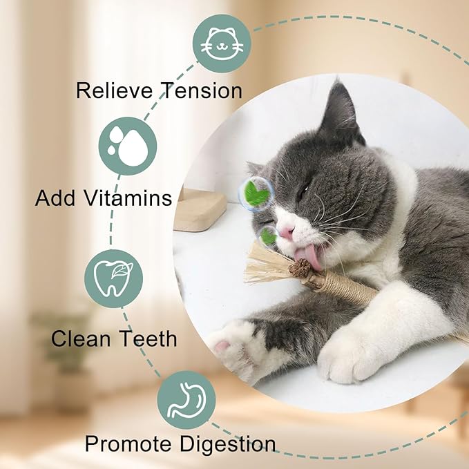 7-in-1 Interactive Cat Toys for Indoor Cats with Washable Adhesive Suction Cup, Hanging Cat Toys, Silvervine Stick and Sisal Chew Rope Catnip Teething Toy for Bored Kitten