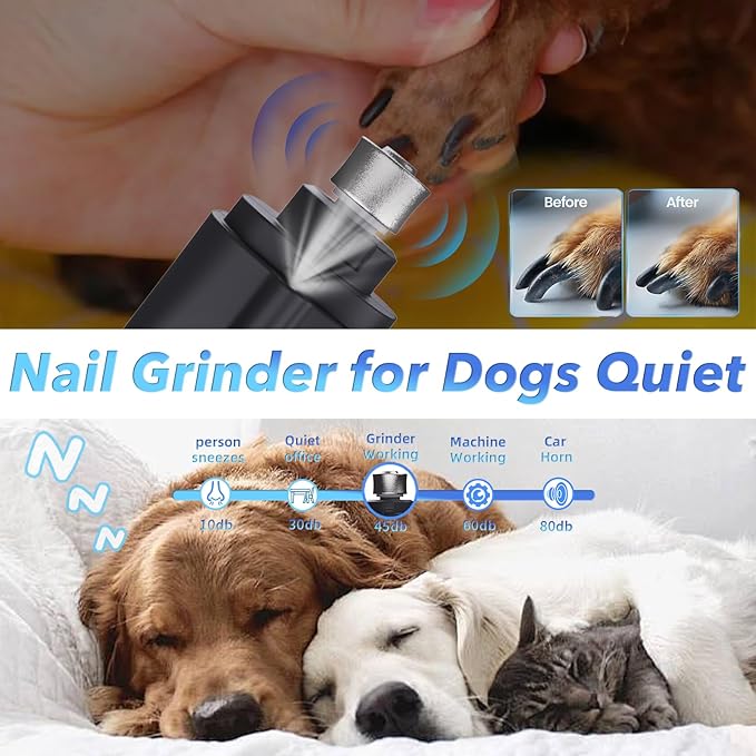 2 in 1 Dog Nail Clippers and Grinder with Lights &amp; Cat Nail Clipper for Large Medium Small Dogs Cats Nail Trimmers USB Rechargeable with 2 LED Lights Dog Claw Care for Non-Black Nails