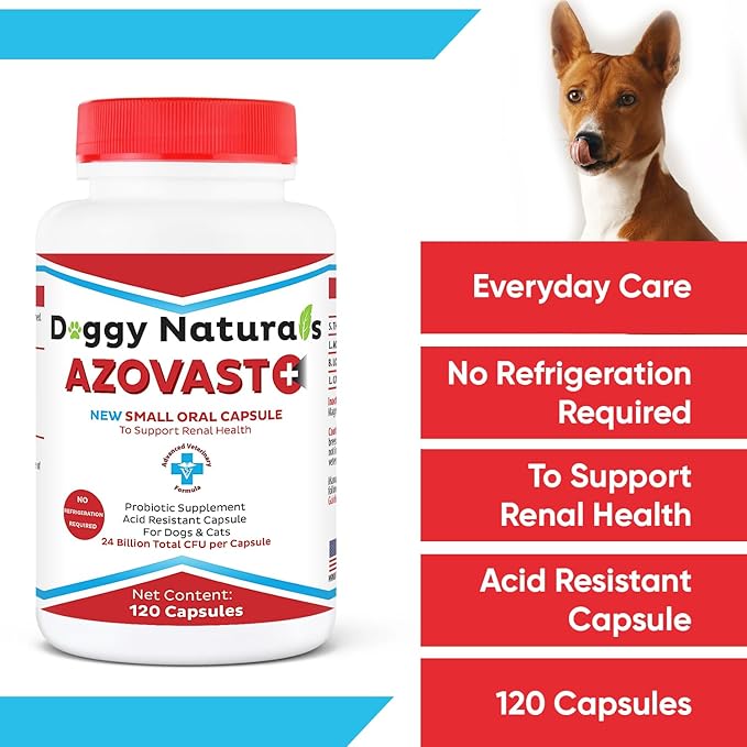 Azovast Plus Kidney Health Supplement for Dogs &amp; Cats, 240ct - NO Refrigeration Required - Help Support Kidney Function &amp; Manage Renal Toxins - Renal Care Supplement Capsule(U.S.A) (240 Caps)
