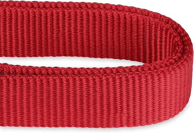 Hyhug Martingale Buckle - Free Dog Collar: Non - Slip Heavy - Duty Nylon, Escape - Proof, Colorfast &amp; Adjustable for Large, Medium &amp; Small Dog Breeds(Medium,Red)