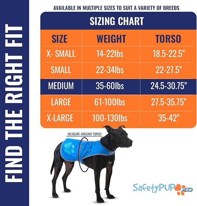 Dog Reflective Vest – Hi-Vis Fluorescent Visibility That Helps to Safeguard Your Pet On/Off Leash in Urban &amp; Rural Areas (Blue, Medium)