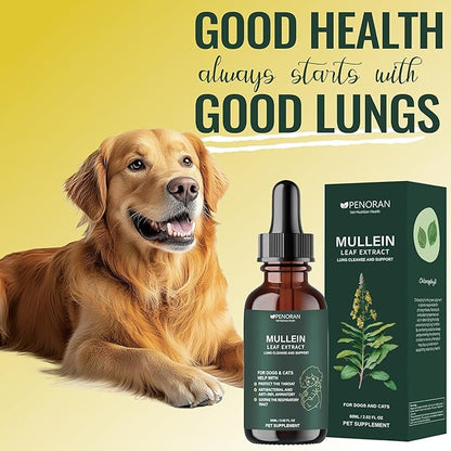 Pet Mullein Leaf Extract Drops for Dogs &amp; Cats Hoarseness, Cough, Easy Breathing, Lung Cleanse and Support, Better Lungs, Soothes Throat Discomfort - ﻿100% Natural and Efficient ﻿ ﻿
