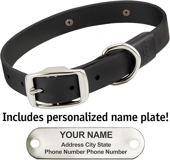 Biothane Custom Dog Collar – Waterproof, Stink-Proof Personalized Collar with Name &amp; Phone Number – Durable, Many Sizes and Colors – Assembled in USA (Black)