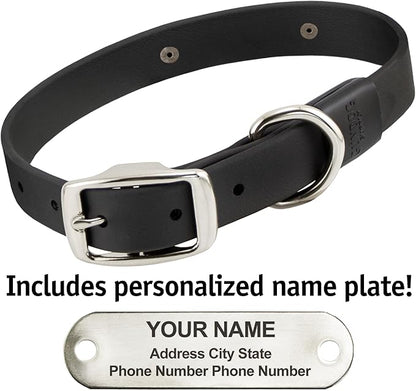 Biothane Custom Dog Collar – Waterproof, Stink-Proof Personalized Collar with Name &amp; Phone Number – Durable, Many Sizes and Colors – Assembled in USA (Black)