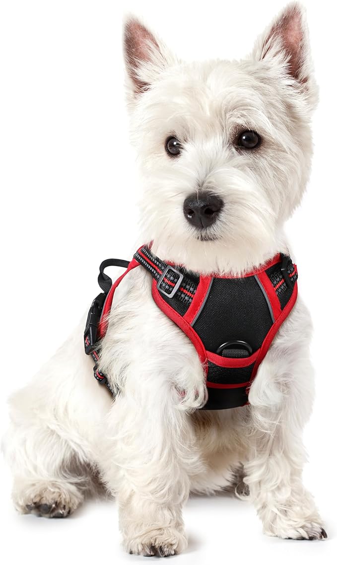rabbitgoo Dog Harness No Pull with 2 Leash Clips, Adjustable Soft Padded, Reflective Oxford No Choke Pet Vest with Easy Control Handle for Puppy, Black &amp; Red, XS