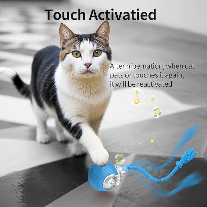 Interactive Cat Toys, Automatic Moving Cat Toys for Bored Indoor Adult Cats, Fast Rolling, Chirping &amp; Motion-Activated Kitty Toys, Fun Gift for Cats with Speedy Tail 2.0, USB Rechargeable, Blue