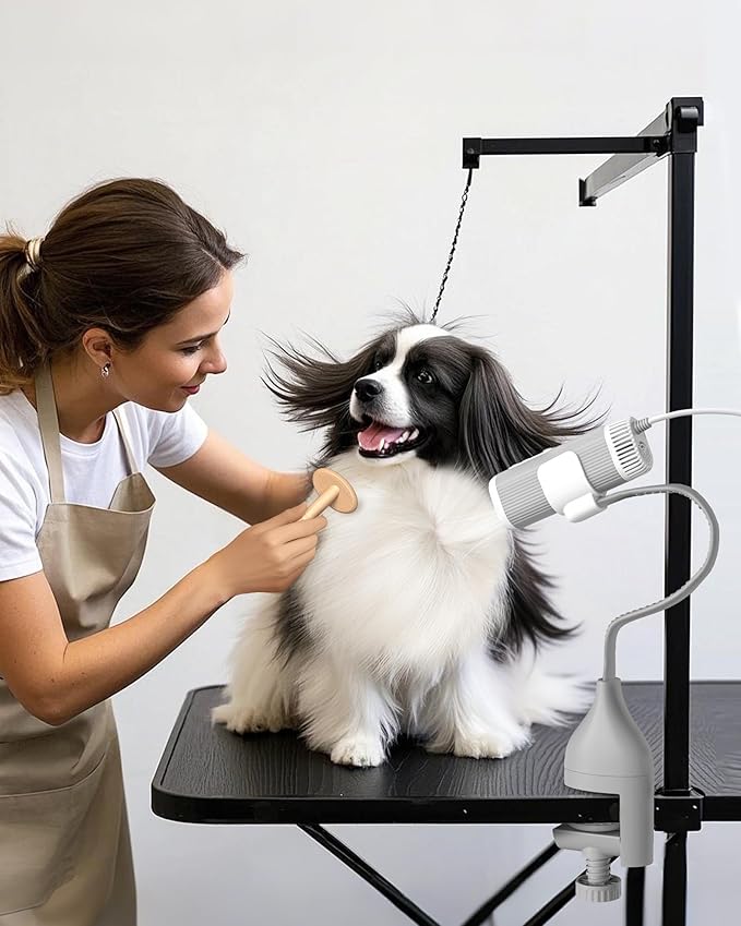 L&amp;W BROS. 2-in-1 Pet Hair Dryer with Clamp Stand – Wearable &amp; Hands-Free Dog Grooming Dryer, 950W Low Noise Blower with 5 Heat &amp; 3 Speed Settings, for Small to Medium Pets (gray)